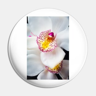 White Spotted Orchid Pin