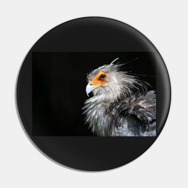 Secretarybird Pin by valentina9