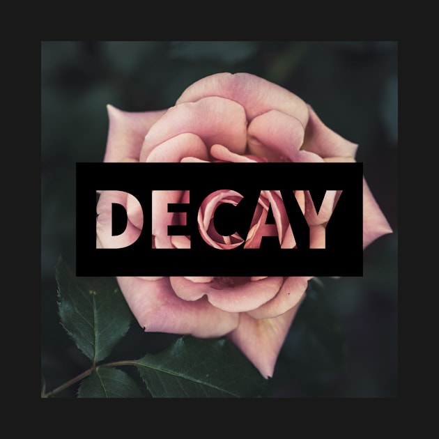 Decay by Ugly Envy