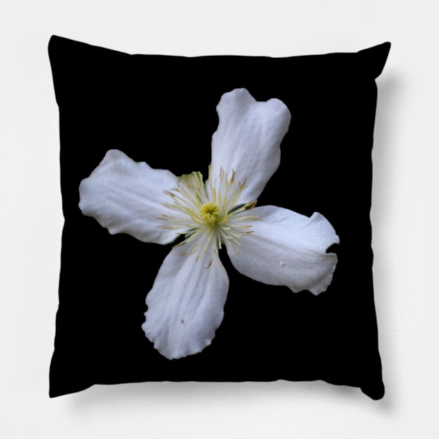 flower Pillow by rickylabellevie