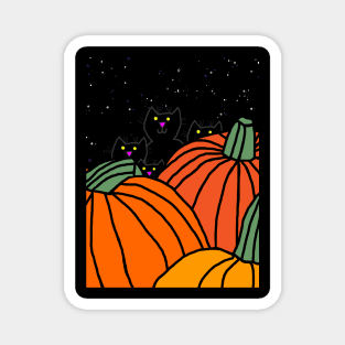 Night time in the Halloween pumpkin patch with four cats Magnet