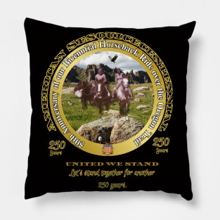 Countries 250th Birthday Pillow