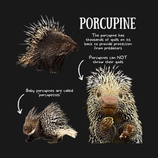 Animal Facts - Porcupine T-Shirt