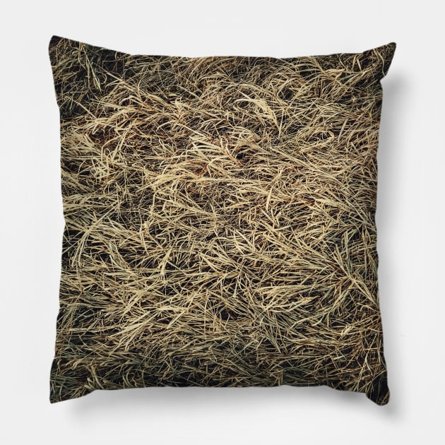 Dry grass texture Pillow by psychoshadow
