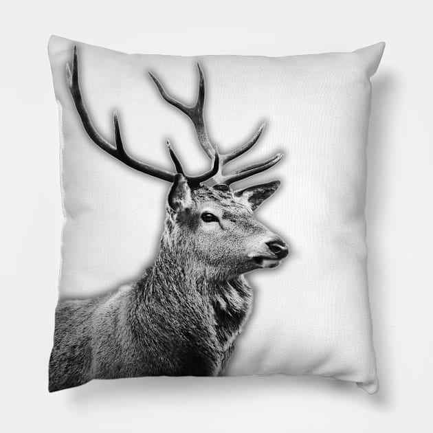 The Highland Stag Pillow by Madeinthehighlands