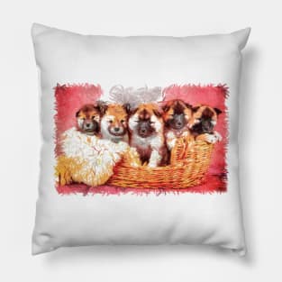 Adorable Pomerian breed puppies. Baby, cute and furry puppies in minbre basket Pillow