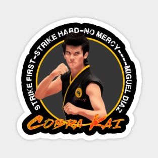 Cobra kai - miyagi Magnet