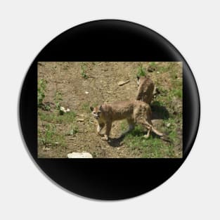 Cougar Cubs Pin