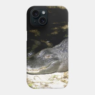 Alligator Sunbathing Phone Case