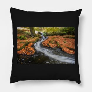 Wicklow Mountains Pillow