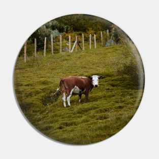 Cow (color) Pin