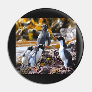 Snares Crested Penguins Pin