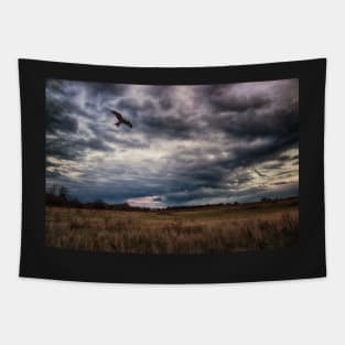 Peace in The Storm Tapestry