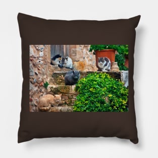 Siesta time for the cats of Monemvassia Pillow