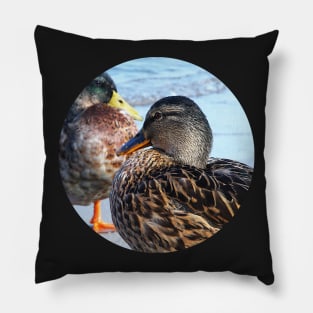 Three Ducks on the Beach Pillow