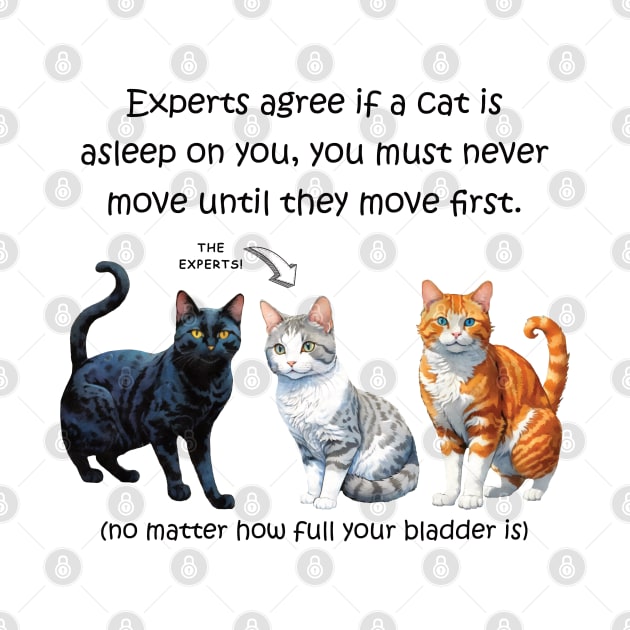 Experts agree if a cat is asleep on you, you must never move until they move first - funny watercolour cat design by DawnDesignsWordArt