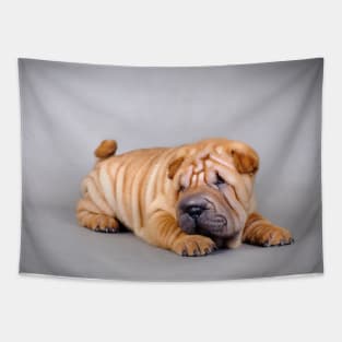 Shar pei puppy Tapestry