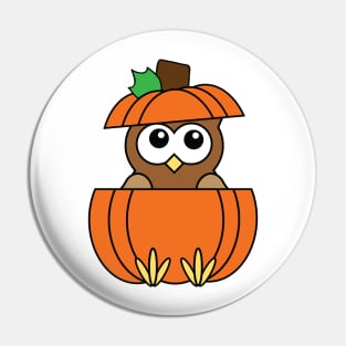 Cute Owl in Pumpkin with Feet Sticking Out Pin