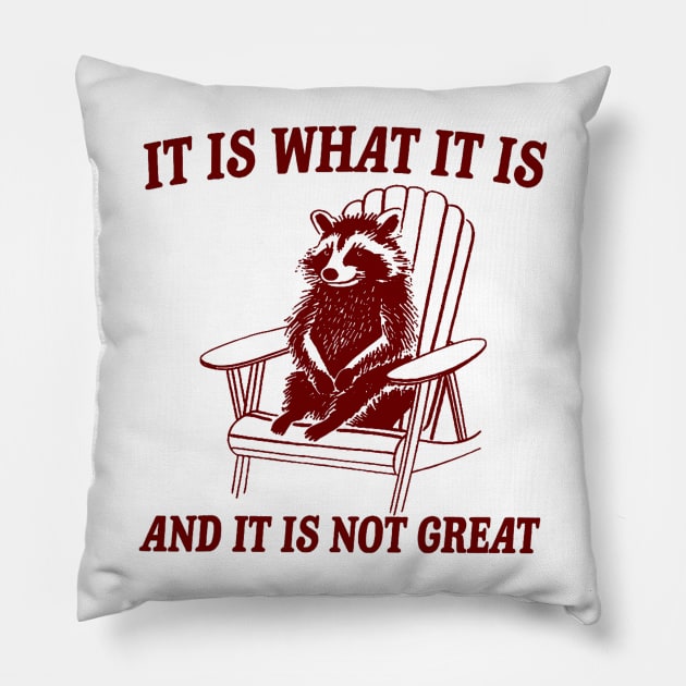 It Is What It Is And It Is Not Great Raccoon Pillow by Drawings Star