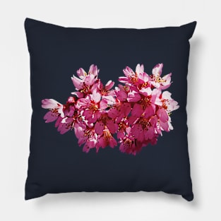 Cherry Blossoms Pillow