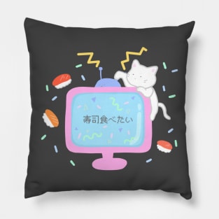 Retro TV and Cat Pillow