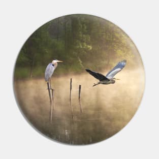 Great Blue Herons at Morning Pond Pin