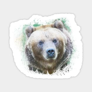 Brown Bear Grizzly Animal Wild Life Jungle Nature Free Adventure Watercolor Magnet