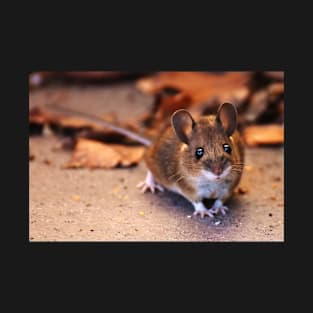 Cute little Mouse T-Shirt