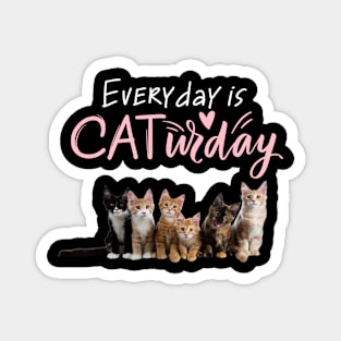 Everyday Is Caturday Quote For Cat Lovers Magnet