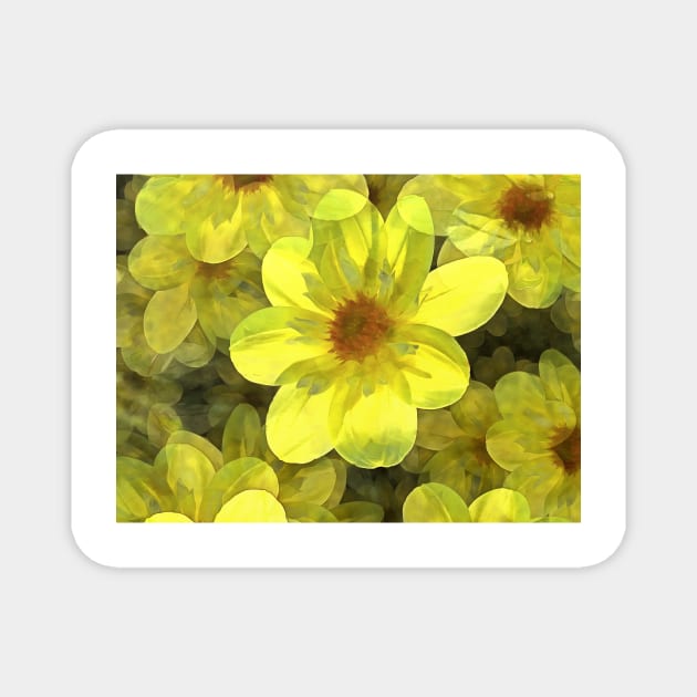 Backlit Sunny Yellow Dahlia Medley Magnet by SeaChangeDesign