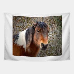 Assateague Island Pony Patricia Irene Tapestry