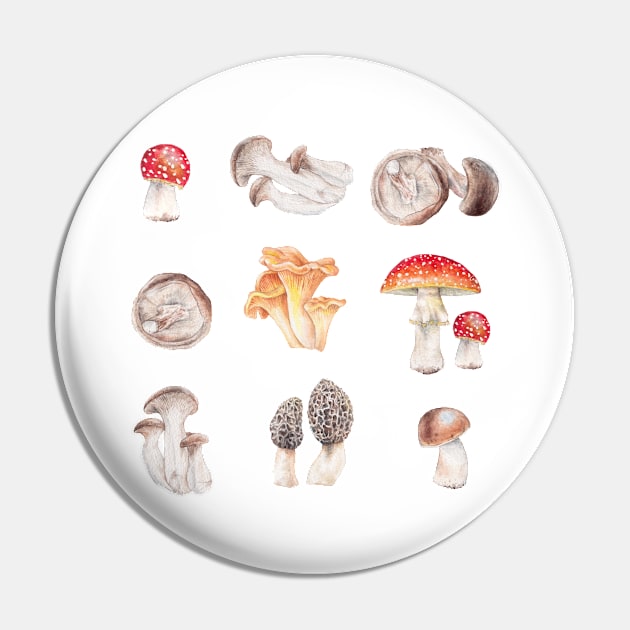 Many mushrooms Pin by wanderinglaur