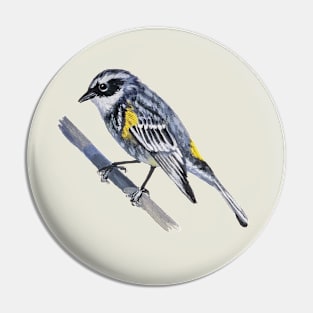 Yellow Rumped Warbler painting (no background) Pin