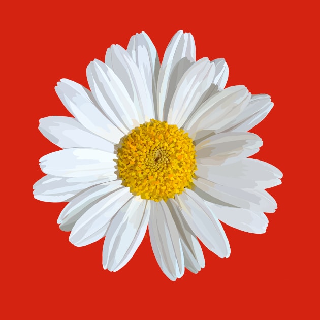 Marguerite on red by A_using_colors