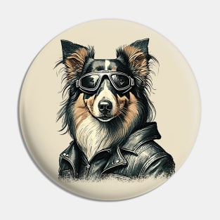 Australian Border Collies are so cool Pin