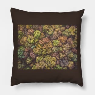 Aerial top down view of colorful autumn forest Pillow