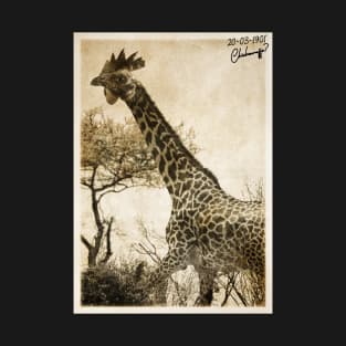 Chicken Giraffe T-Shirt