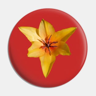 Tulip Triangle Pin