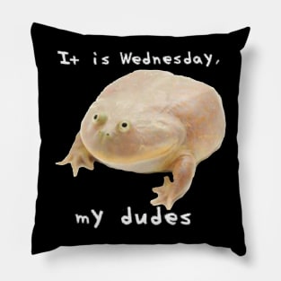 It is Wednesday my Dudes Pillow