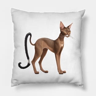 Oriental Shorthair cat Pillow