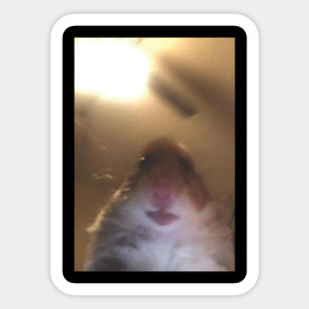Hamster Meme Hamster Meme Posters And Art Prints Teepublic Uk