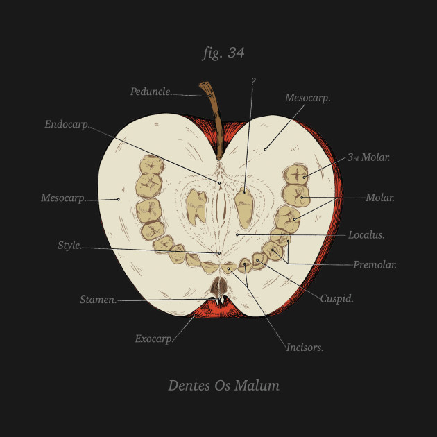 The Magnus Archives - Anatomy Class - Teeth Apple - Podcast Merch - T-Shirt