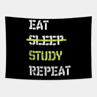 Eat Sleep Study Repeat College Tapestry