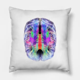 White matter fibres and brain, artwork (C028/6324) Pillow