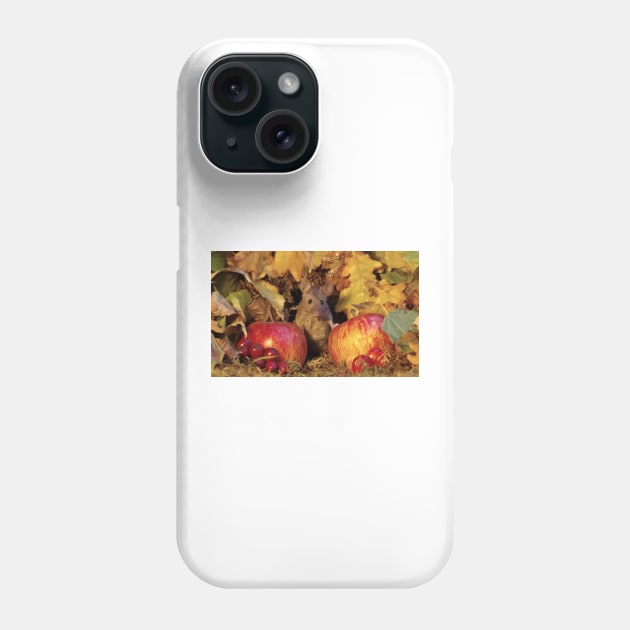 wild Autumn house mouse and  apple Phone Case by Simon-dell