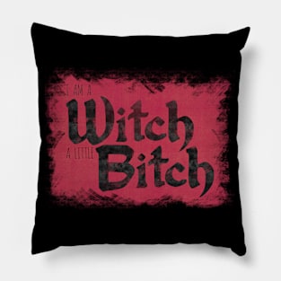 I AM A WITCH,  A  LITTLE BITCH Pillow