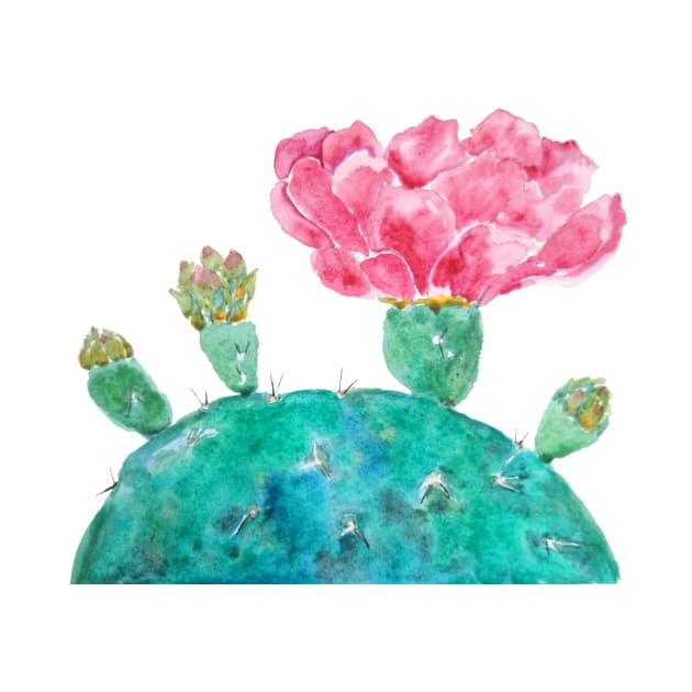 Pink cactus flower watercolor by colorandcolor