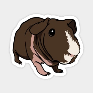 Loghan The Ark Piggie Magnet