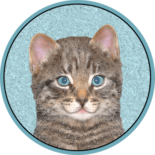 Gray Tabby Cat T-Shirt