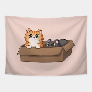 Cute Orange Cat And Black Cat In Box Tapestry